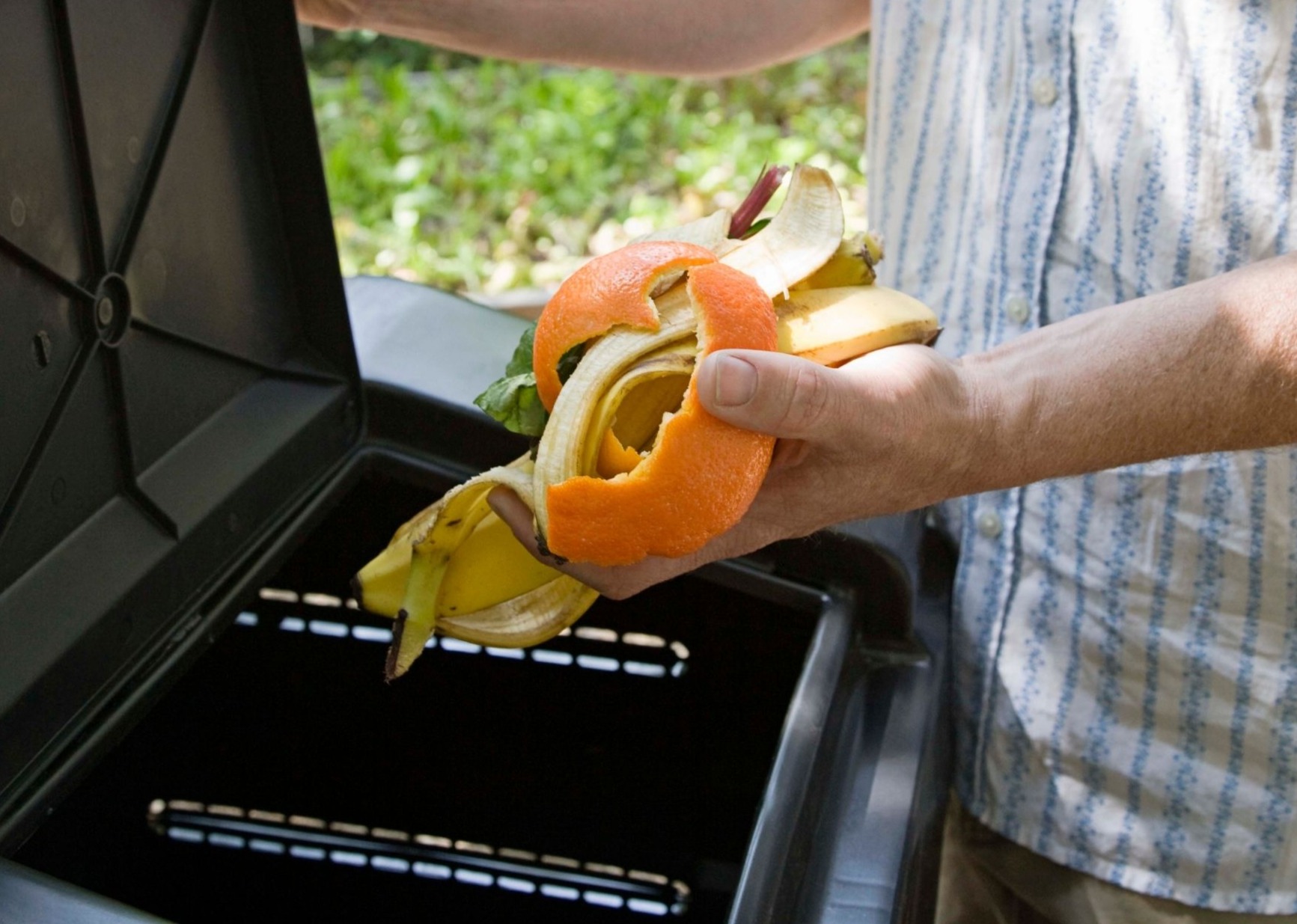 A man depositing orange and banana peels into an organics bin.